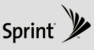 Sprint Logo