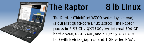The Raptor (ThinkPad W700 series by Lenovo) is our first quad-core Linux laptop.  The Raptor packs in 2.53 GHz QX9300, two internal 500 GB hard drives, 8 GB RAM, and a 17" 1920x1200 LCD with NVidia graphics and 1 GB video RAM.