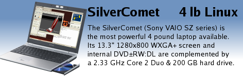 The SilverComet (Sony VAIO SZ series) is the most powerful 4 pound laptop available.  A 13.3" 1280x800 WXGA screen and an internal DVD+/-RW:DL are complemented by a 2.33 GHz Core 2 Duo and 200 GB hard drive.
