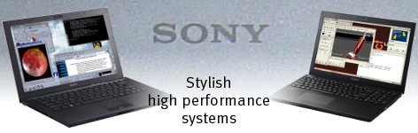 and the powerful Gazelle (Sony VAIO FW).